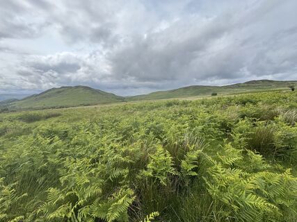 Foto von sander dijkstra entlang der Tour