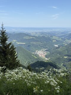 Foto von Karl Roth Tulln entlang der Tour