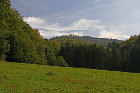 Waldprechtstal