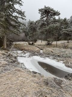 Foto de Denise Miller a lo largo del recorrido