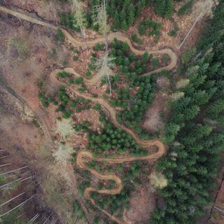 Sandy Trail - T80