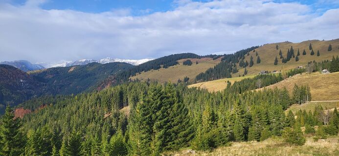 Foto van Gruber Peter langs de tour