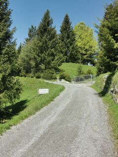 Foto von Waldläufer entlang der Tour