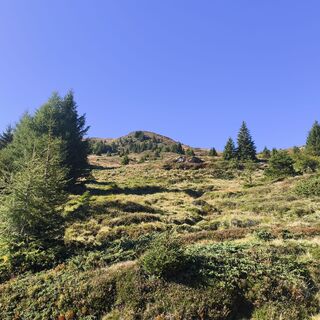 Foto von Peter Springer 1 entlang der Tour
