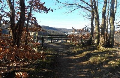 Blick vom Eichelberg