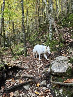Photo de Stephan Gerstmeier le long du parcours