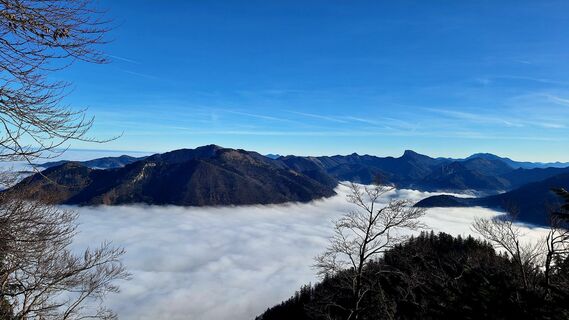 Photo de Regina Fleischmann le long du parcours