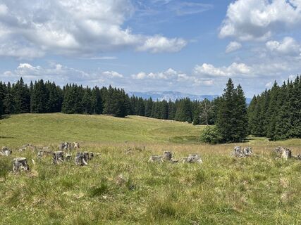 Photo de Ralph Wanderburg le long du parcours