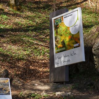 Lebensder Taugl - Hier bin ich zu Hause