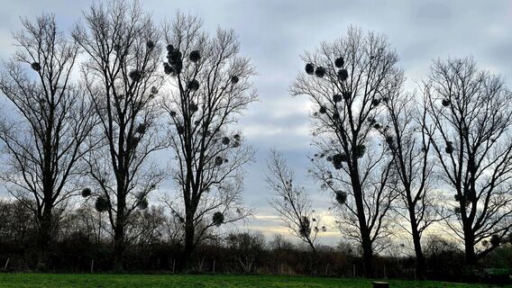 Zdjęcie z Edit Szoboszlay wzdłuż trasy