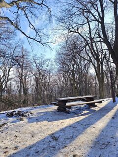 Fotografia z Katona Ferk Mariann na trase