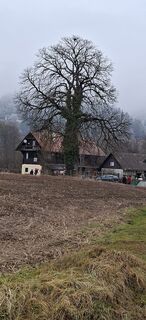 Photo de Annemarie Hartner le long du parcours