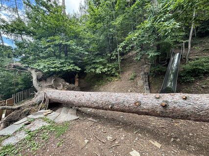 Foto von Ilka Löser entlang der Tour