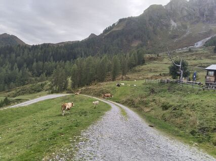 Photo de Jozko Mrkvicka 1 le long du parcours