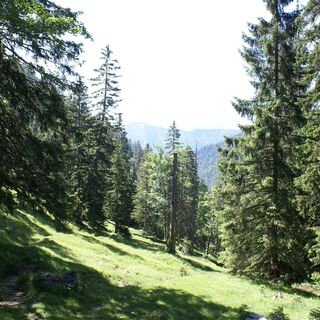 Schagstein-Runde