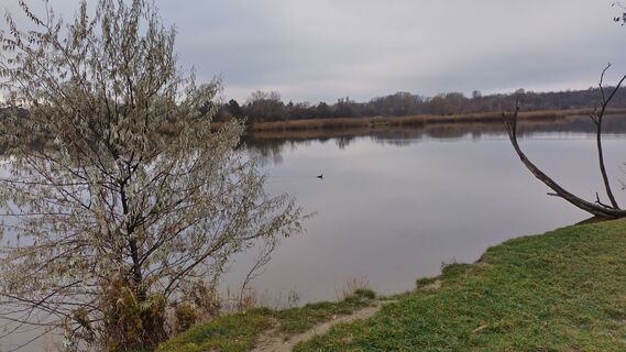 Fotografie z bergwolfi na trase