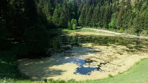 Moorsee