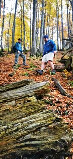 Kuva osoitteesta Klaus Lehner matkan varrella