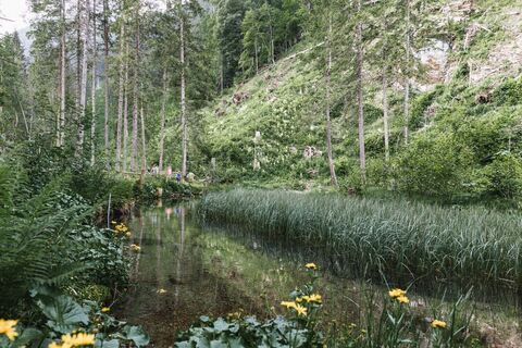 Kneippanlage Johnsbach