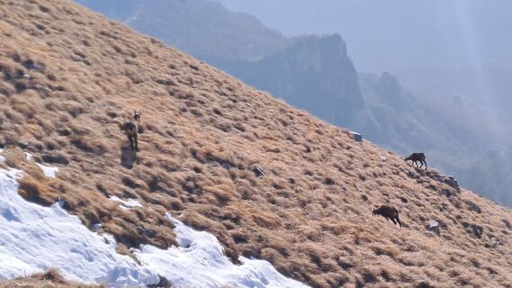 Photo de Sergio Gatti le long du parcours