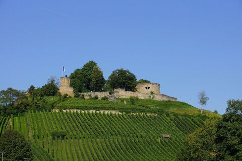 Burgruine Weibertreu