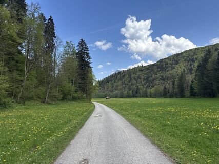 Foto de Similaun a lo largo del recorrido