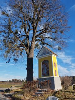 Foto von Stephane Cappellaro entlang der Tour