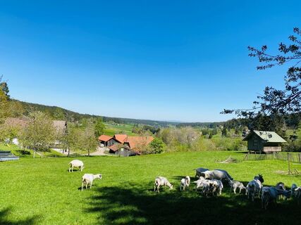 Stockwald