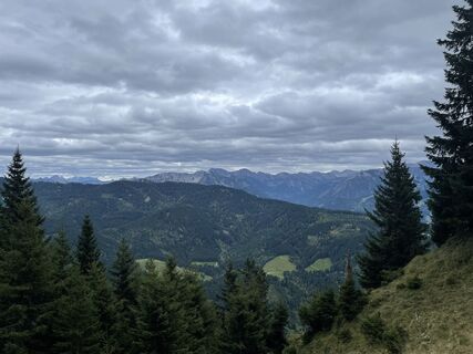 Foto från Werner Felten under resans gång
