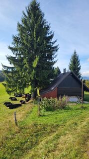 Foto von Dejan Borko entlang der Tour