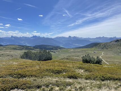 Photo de Ralf Umminger le long du parcours