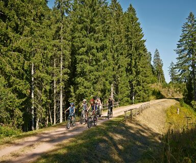 Radtour auf dem Bähnleradweg