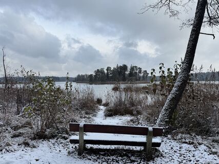 Foto från Denise Miller under resans gång