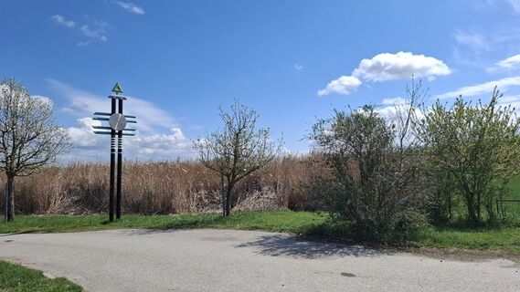 Foto von Jordy entlang der Tour
