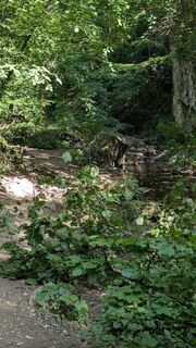 Фото с сайта Jele Hannes во время экскурсии