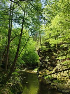 Blick auf Bachengstelle beim Steg