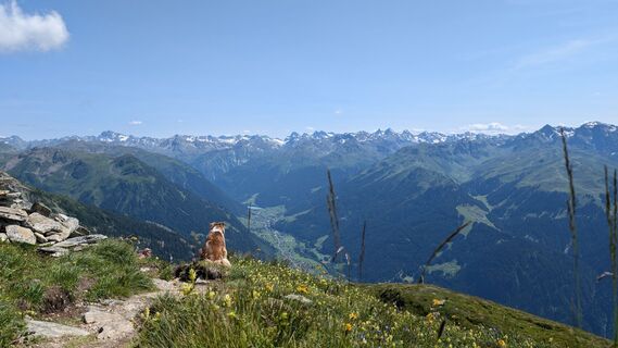 Foto fra Klaus Lehner undervejs på turen