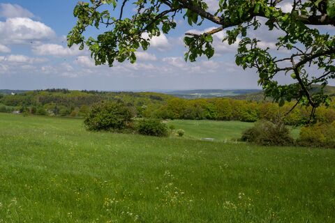 Eifelspur-Kneippwanderweg - Naturschutzgebiet Bad Münstereifeler Wald