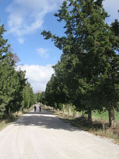 Fotografia z Gianberto Zilli na trase