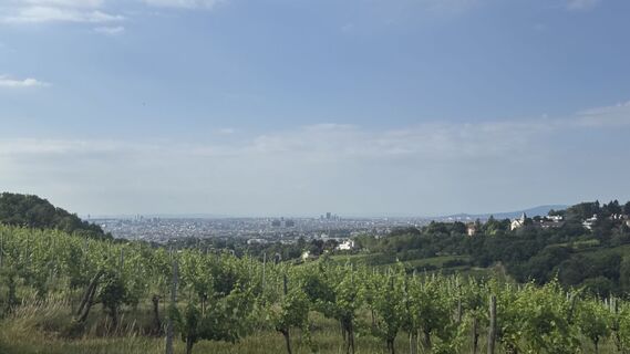 Photo de Cornelia Leben le long du parcours