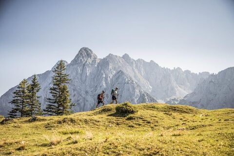 Feldberg, Stripsenjoch, Kaiserbachtal, Region St. Johann in Tirol, Kirchdorf, Wandern