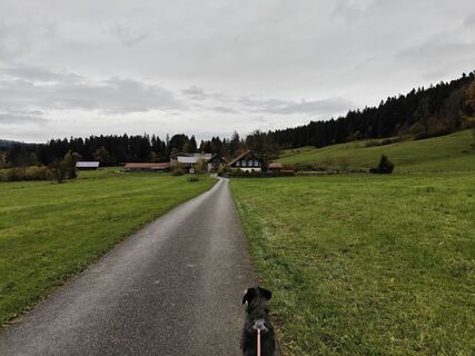 Foto von Xenia Lange entlang der Tour