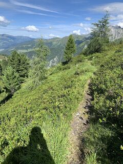 Photo de Koen De Wit le long du parcours