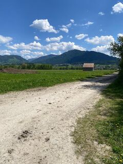 IMG-20250502-WA0037.jpg