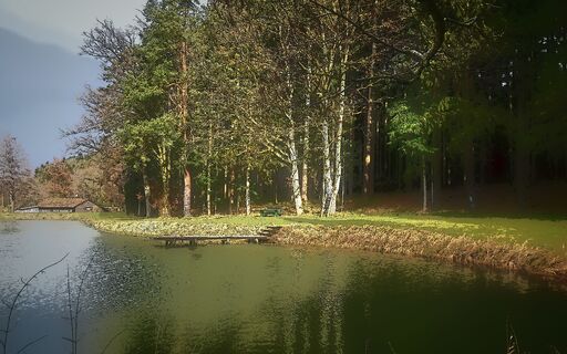 Erholung am Teich