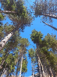 Foto von GAdamec entlang der Tour