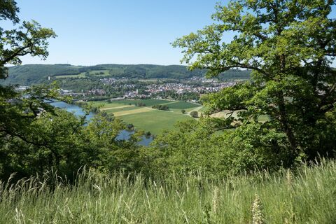 Sicht  vom Schreckberg auf Obrigheim