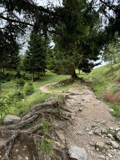 Foto von Anne Kathrin Winter entlang der Tour