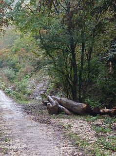 Foto de Eljazovic Miralem a lo largo del recorrido