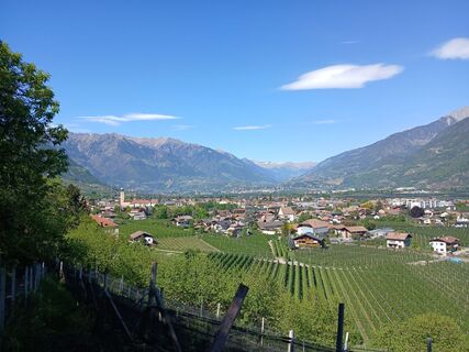 Photo de Albert Sturn le long du parcours
